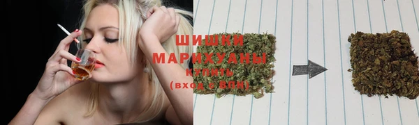 амф Володарск