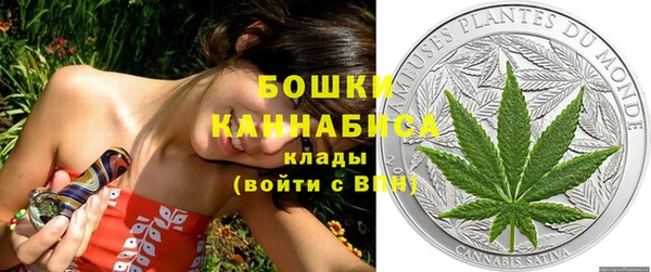 трава Волоколамск
