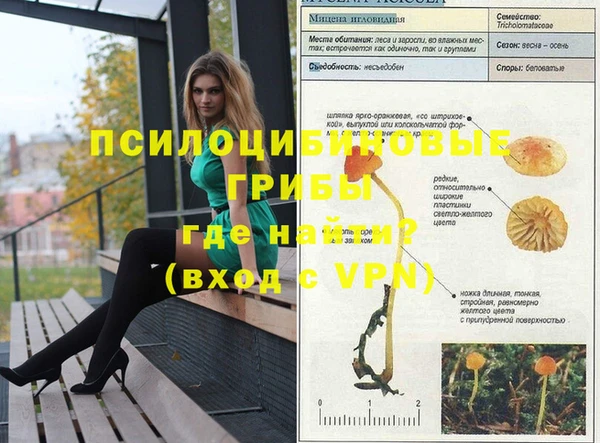 амф Володарск