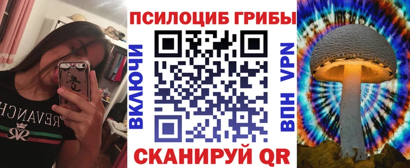 даркнет клад  Вольск  Галлюциногенные грибы MAGIC MUSHROOMS 